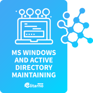 MS Windows and Active Directory - Hourly