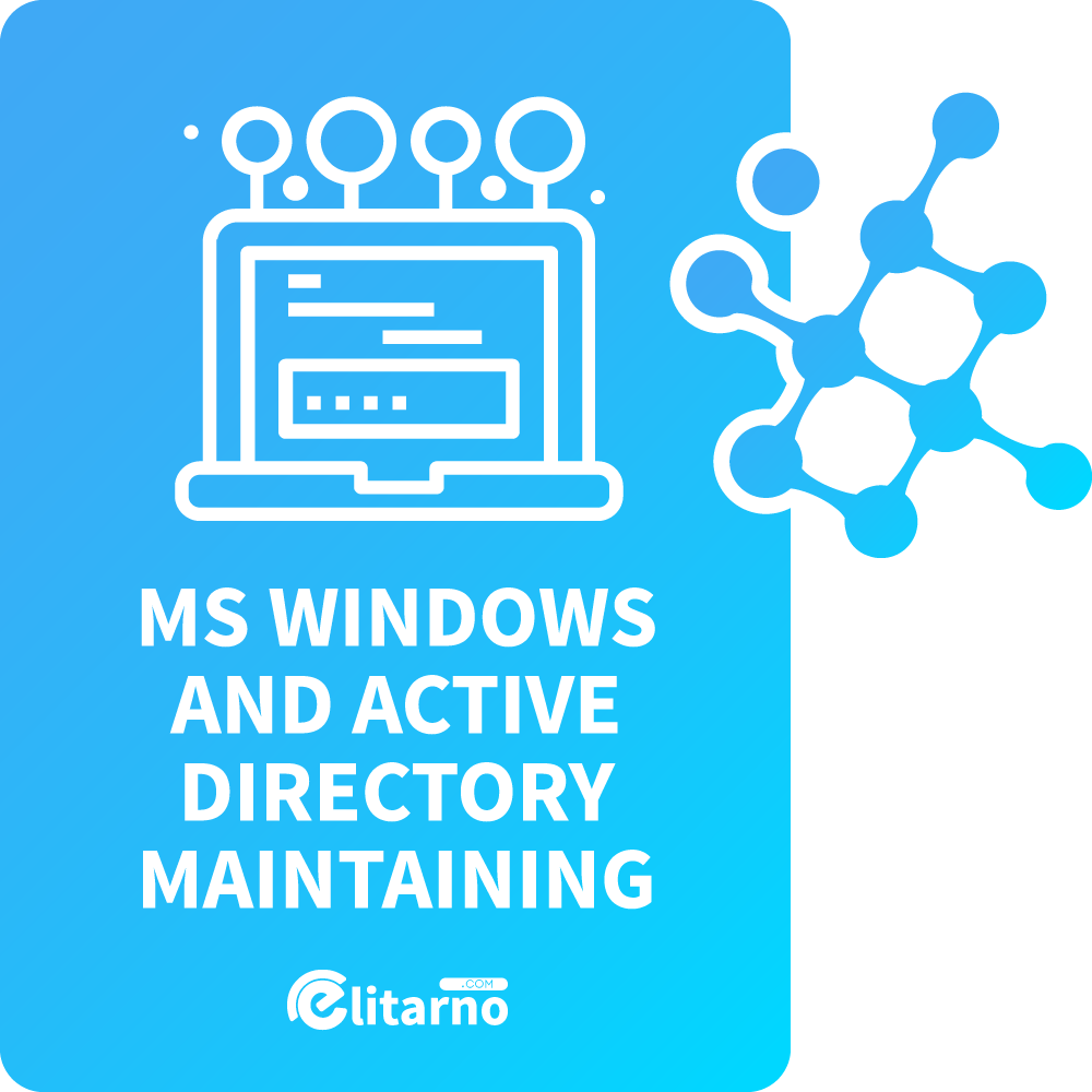 MS Windows and Active Directory